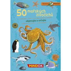 Mindok 50 mořských živočichů
