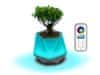 Kveto - Samozavlažovací květináč a smarthome náladové světlo - varianta: s ovladačem