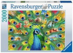 Ravensburger Puzzle Země pávů 2000 dílků