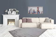 Kayoom Kusový koberec Softtouch 700 Silver Rozměr koberce: 120 x 170 cm