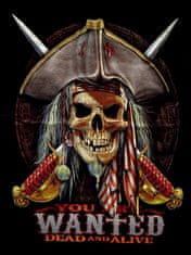 Motohadry.com Dětské tričko s pirátem TDKR 012, 6-8 let
