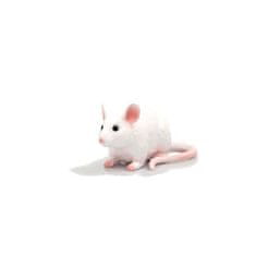 Kraftika Animal planet mojo myš