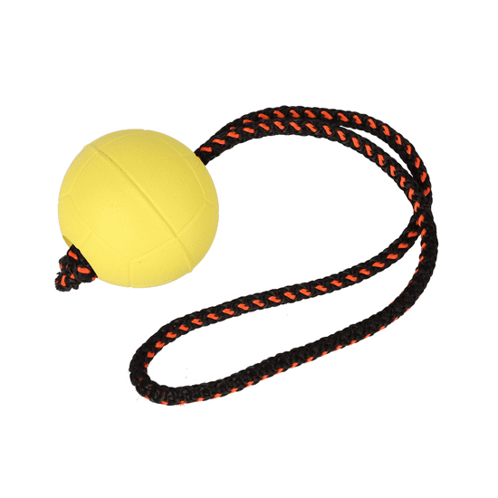 DINGO Plovoucí míč na šňůrce pro hraní ve vodě 'Bibi'