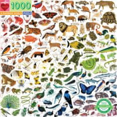 eeBoo  Čtvercové puzzle Duhový svět 1000 dílků