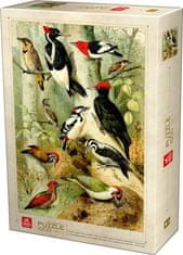 DEICO  Puzzle Encyklopedie: Ptáci 1000 dílků