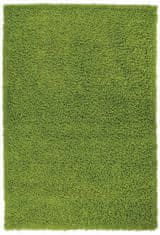 Ayyildiz Kusový koberec Life Shaggy 1500 160x230cm Green