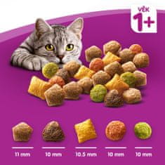 granule hovězí pro dospělé kočky 14 kg