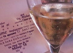 Allegria champagne party pro novomanžele