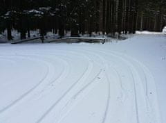 Allegria kurz jízdy na sněhu