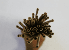 Say straw Brčko z trávy 20 cm (Lepironia articulate) - 250 ks