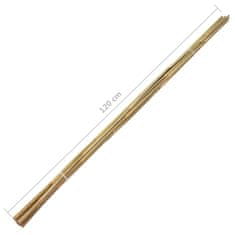 Greatstore Zahradní bambusové tyče 100 ks 120 cm