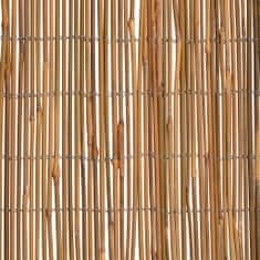 Vidaxl Bambusový plot 500 x 100 cm