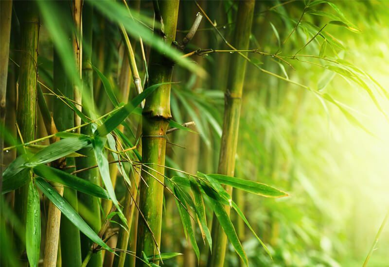 Kombinacija bambusa in mikrovlaken