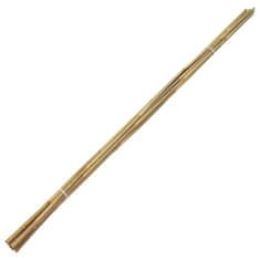 Greatstore Zahradní bambusové tyče 50 ks 150 cm