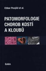 Ctibor Povýšil: Patomorfologie chorob kostí a kloubů