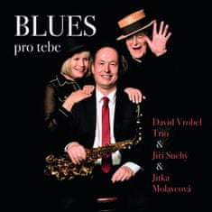 David Vrobel: Blues pro tebe