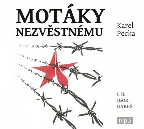 Karel Pecka: Motáky nezvěstnému - 3 CDmp3 (Čte Igor Bareš)