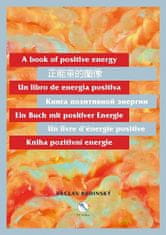 Václav Budinský: Kniha pozitivní energie (175 x 245 cm)