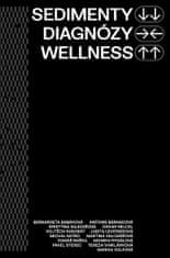autorů kolektiv: Sedimenty diagnózy wellness