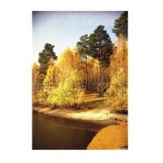 INFRADŮM Sálavý topný panel s potiskem " Podzimní les-2" 80x60cm, 500w