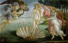 INFRADŮM Sálavý topný panel s potiskem "Zrození Venuše" 80x60cm, 500w