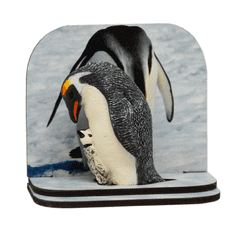 COOLKOUSKY Diorama tučňák