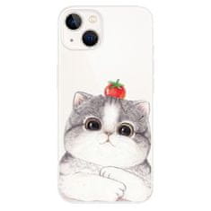 iSaprio Silikonové pouzdro - Cat 03 pro Apple iPhone 13