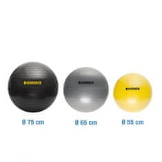 Hammer Gymnastický míč HAMMER Gymastic ball Anti-burst, 55cm žlutý