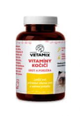 VETAMIX Vitamíny kočičí srst a pokožka 10 × 100 g