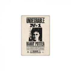 Grooters Magnetka Harry Potter - Nežádoucí