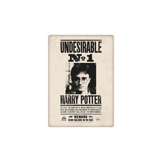 Grooters Magnetka Harry Potter - Nežádoucí