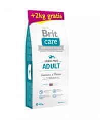 Brit Care Dog Grain-free Adult Salmon & Potato 12+2 kg