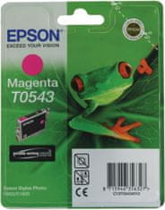 Epson C13T054340, purpurová