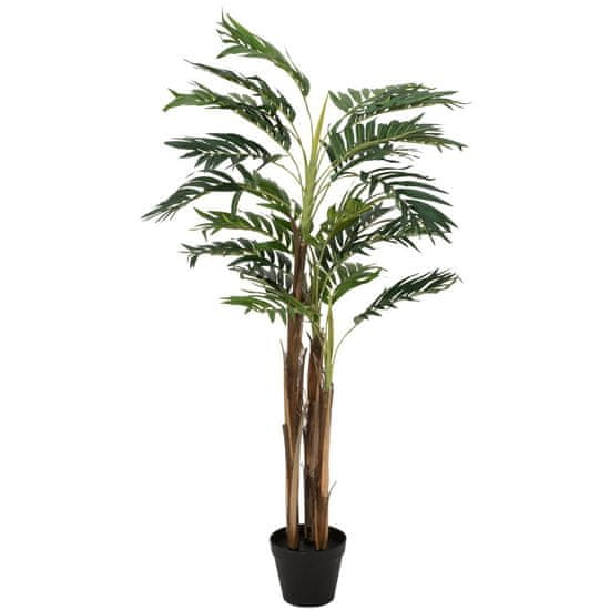 Europalms Areca palma, 110 cm