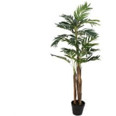 Europalms Areca palma, 3 kmeny, 110 cm