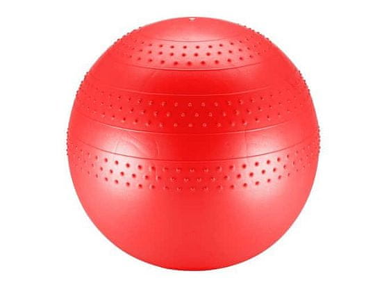 SEDCO Gymnastický míč SPECIAL Gymball - 55 cm