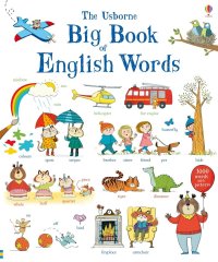 Usborne The Big Book of English Words anglický obrázkový slovník