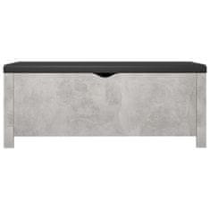Petromila Úložný box s poduškou betonově šedý 105x40x45 cm dřevotříska