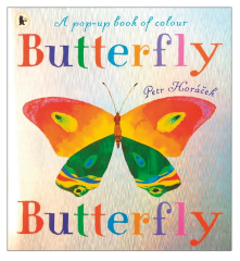 Walker Books Butterfly, Butterfly Petr Horáček knížka v angličtině