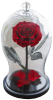 Věčna růže ve skle X «Kráska a Zvíře» - 30cm, červená