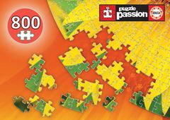 Educa Kulaté puzzle Slunečnice 800 dílků
