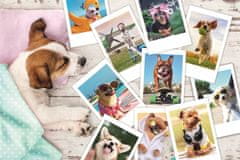 Trefl Puzzle Fotky z dovolené 300 dílků