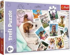 Trefl Puzzle Fotky z dovolené 300 dílků