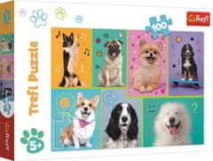 Trefl Puzzle Ve světě psů 100 dílků