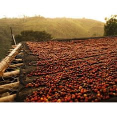 COFFEEDREAM Káva na filtr ETHIOPIA YIRGACHEFFE - Hmotnost: 100g, Typ kávy: Jemné mletí - český turek, Způsob balení: běžný třívrstvý sáček