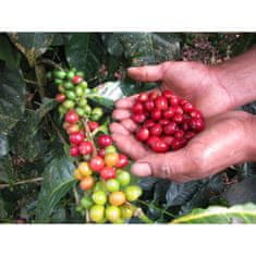 COFFEEDREAM Káva PERU CEPRO YANESHA ORGANIC - Hmotnost: 250g, Typ kávy: Středně jemné mletí - espresso, mocca, Způsob balení: třívrstvý sáček se zipem