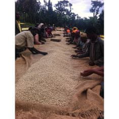 COFFEEDREAM Káva ETIOPIE YIRGACHEFFE GEDEB Gr. 1 - Hmotnost: 1000g, Typ kávy: Zrnková, Způsob balení: běžný třívrstvý sáček