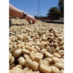 COFFEEDREAM Káva EL SALVADOR EL BORBOLLON - Hmotnost: 500g, Typ kávy: Zrnková, Způsob balení: běžný třívrstvý sáček