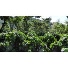 COFFEEDREAM Káva GUATEMALA HUEHUETENANGO - Hmotnost: 500g, Typ kávy: Velmi jemné mletí - džezva, Způsob balení: běžný třívrstvý sáček