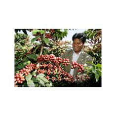 COFFEEDREAM Káva CHINA Kong Que Scr. 16+ - Hmotnost: 250g, Typ kávy: Zrnková, Způsob balení: běžný třívrstvý sáček